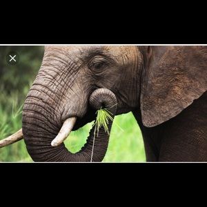 Meet your Posher, Ali